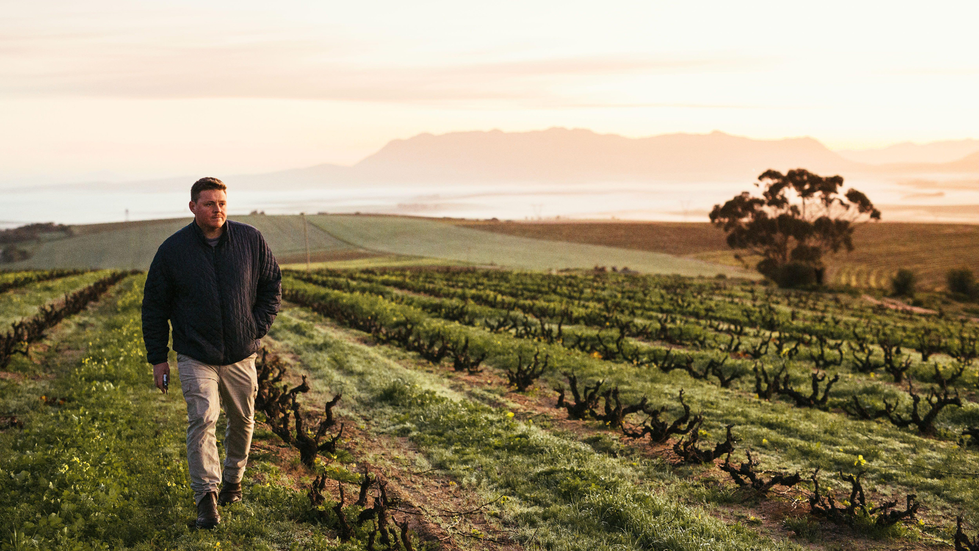Photo of winemaker Chris Alheit walking through a vineyard in South Africa.