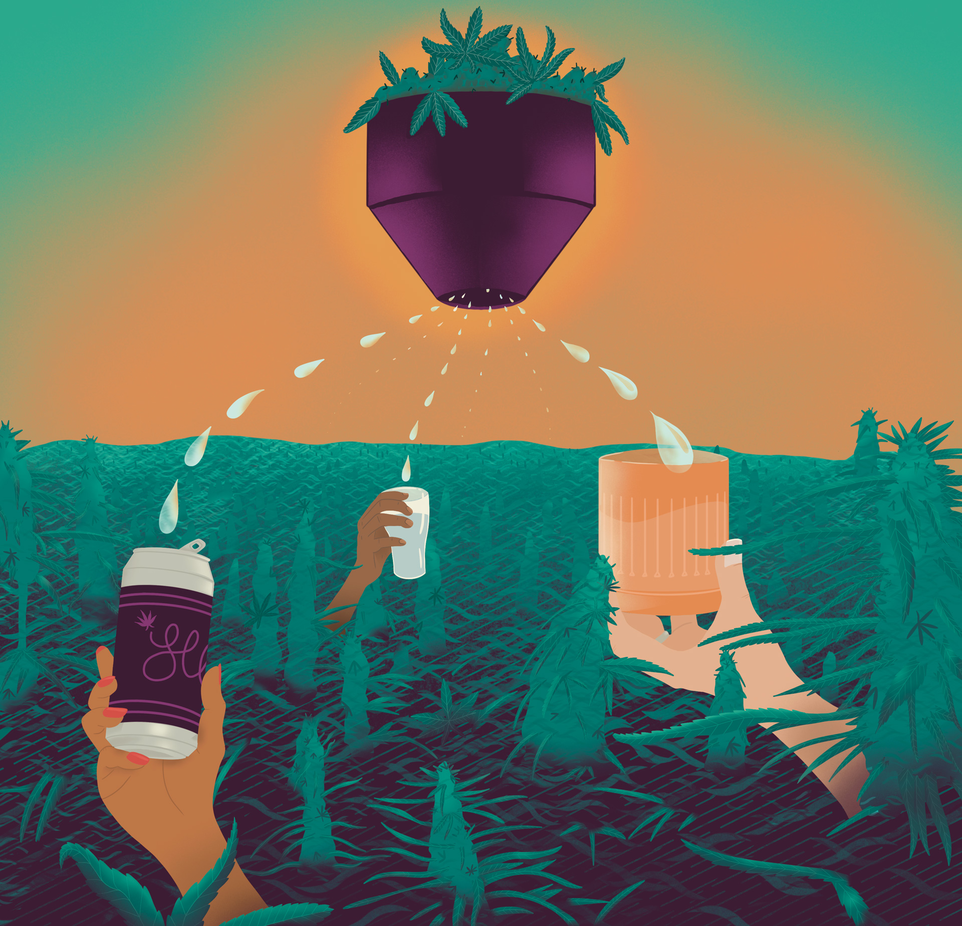 A hopper with cannabis dispensing liquid into glasses and cans being held up through a field of cannabis plants by assorted hands.