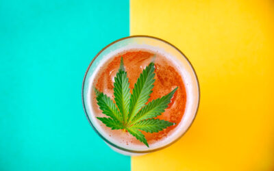 Beer Buds