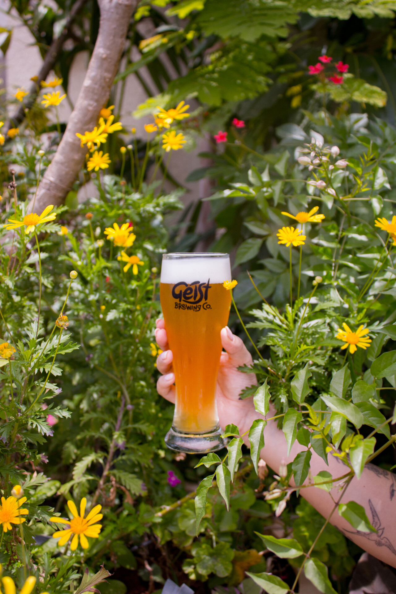 A hand stretched out holding a full wheat beer glass of Geist Brewing Company's Show Me The Honey beer
