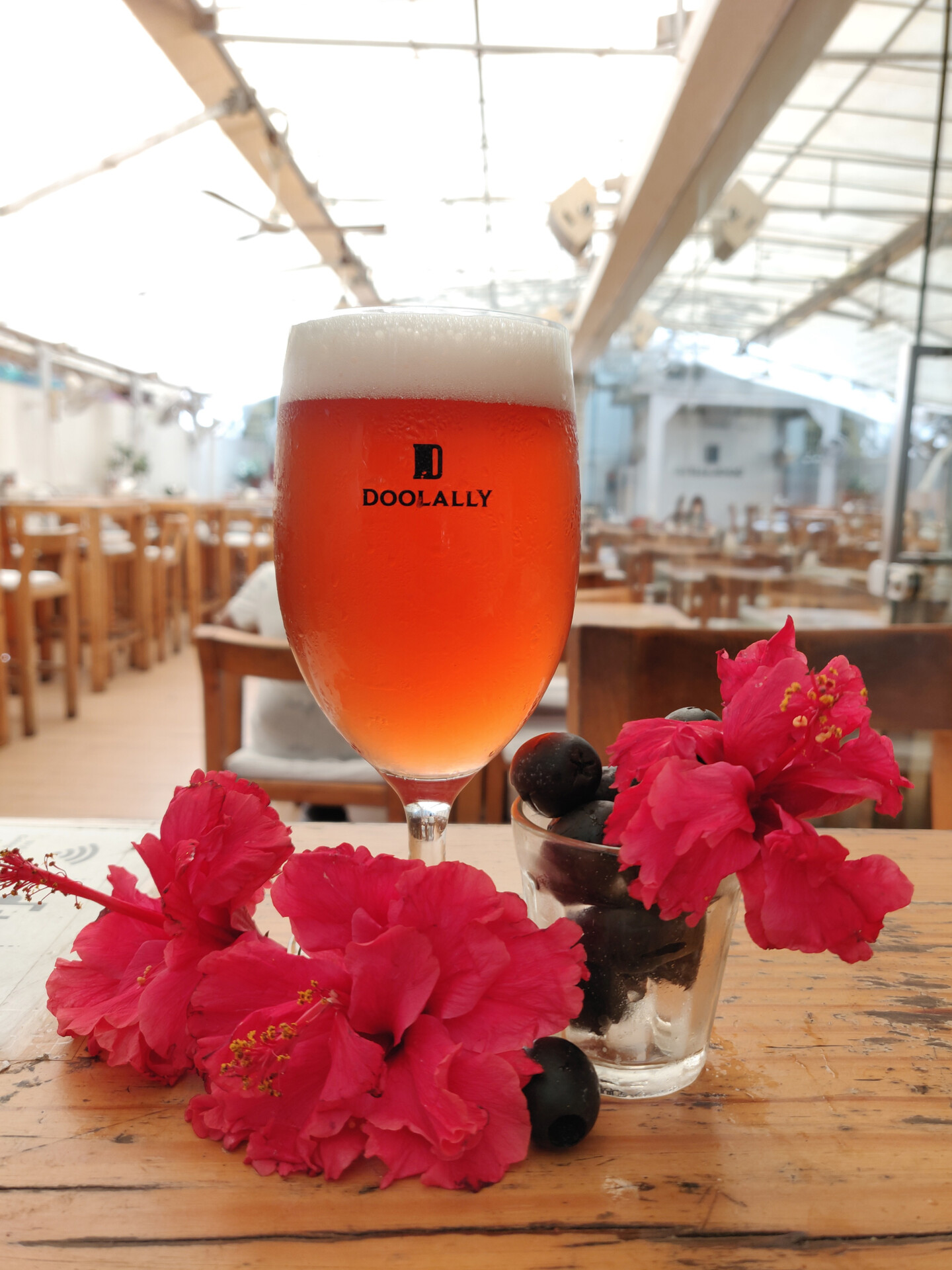 A glass of Karvanda Hibiscus Gose from Doolally Craft Beer, pictured on a table in a tap room surrounded by hibiscus and black lime.
