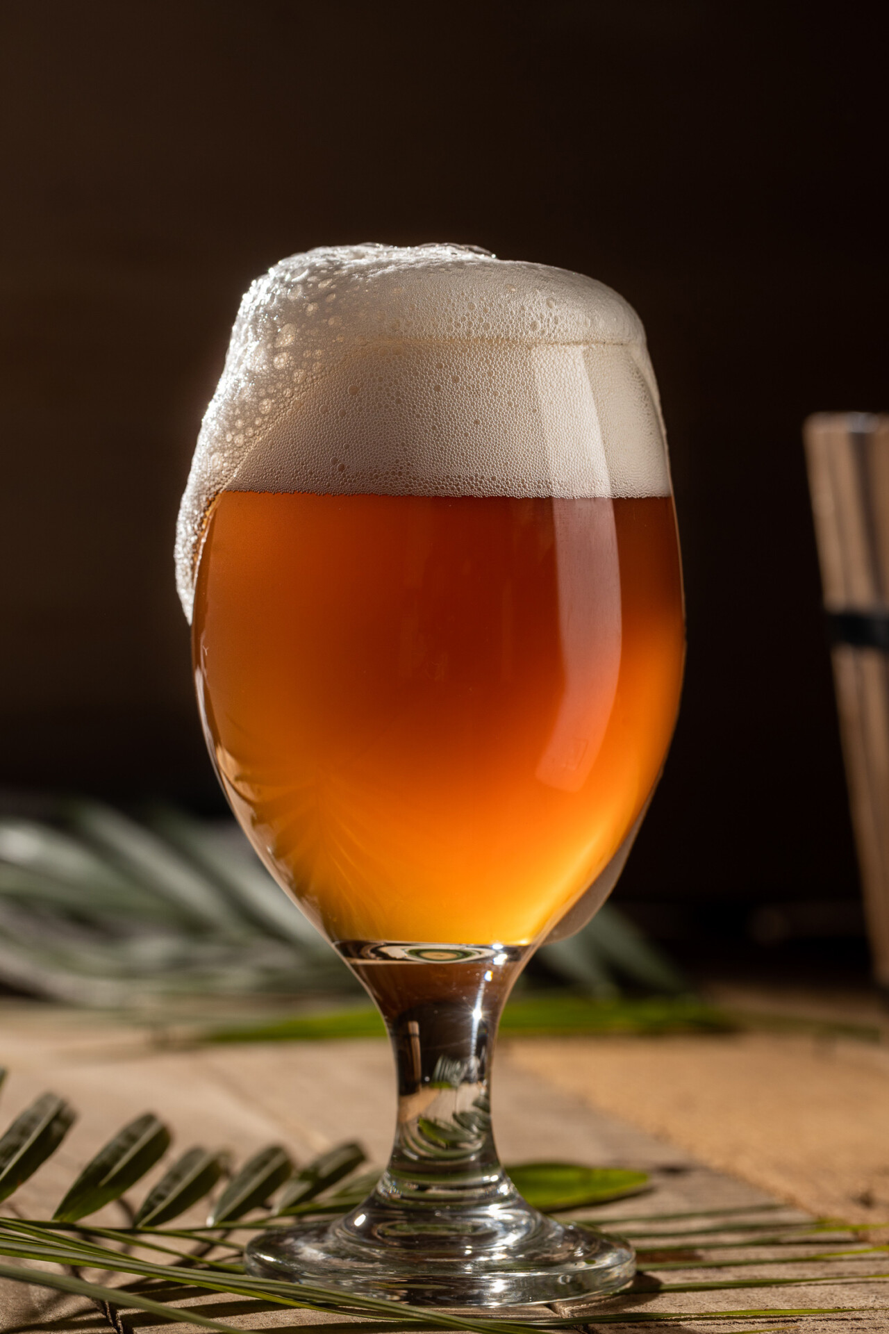 A glass of Kimaya Brewing Company's Buckwheat Citra Ale on a table.