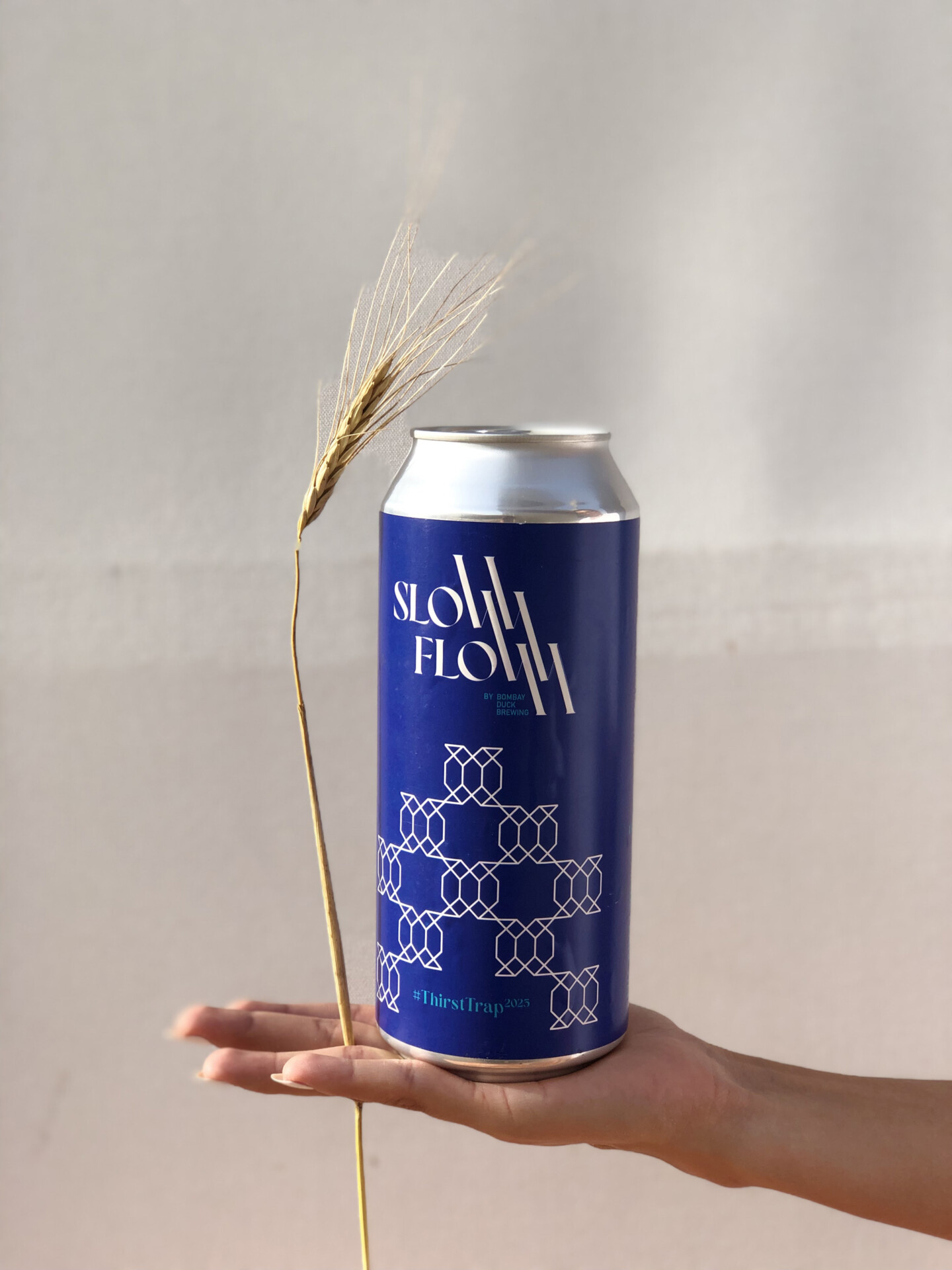 A hand holds in its open palm a can of Slow Flow 2.0 Heirloom Wheat Beer from Bombay Duck Brewing, with a piece of heirloom wheat between fingers