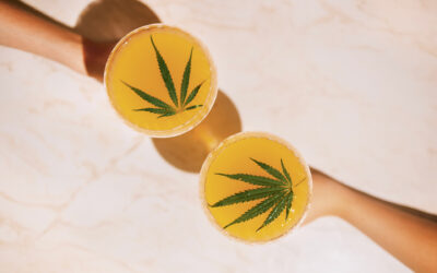 DRINK HIT