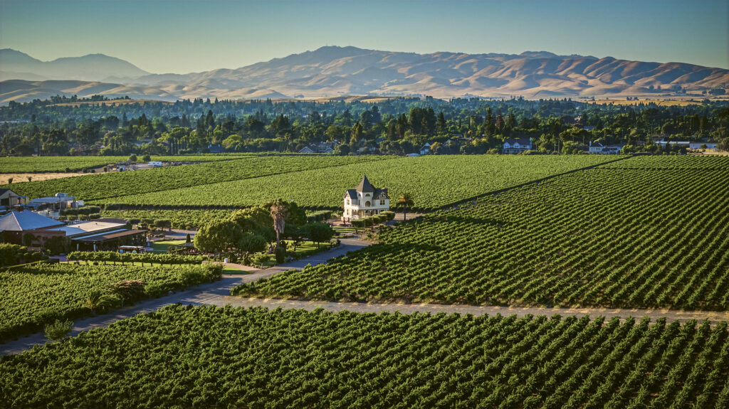 Concannon-Estate-Aerials Aerial shot of Concannon Vineyard in Livermore Valley, California, surrounded by vineyards