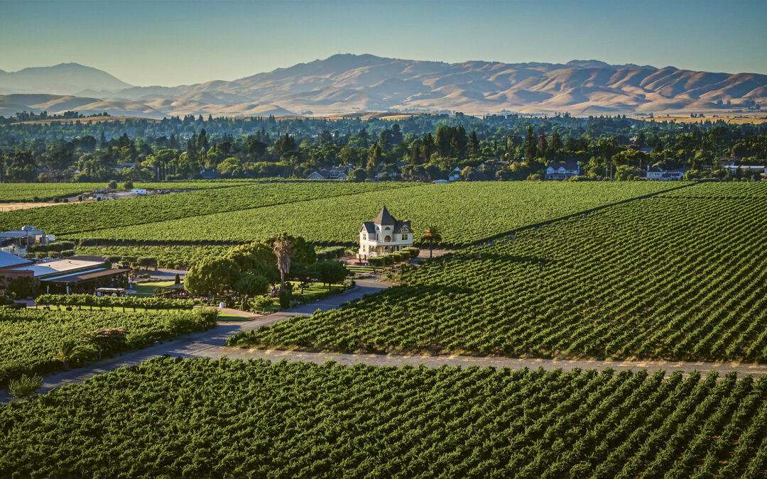 Livermore Rising