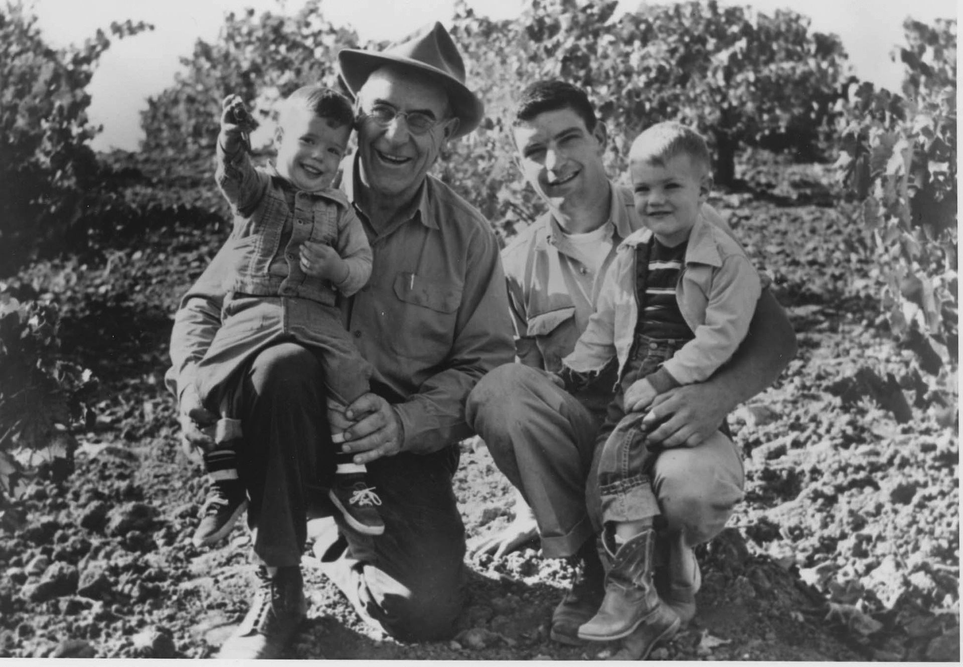 Black and white photograph of Phil, Ernest, Karl and Eric Wente in 1955, sitting outside among grapevines.