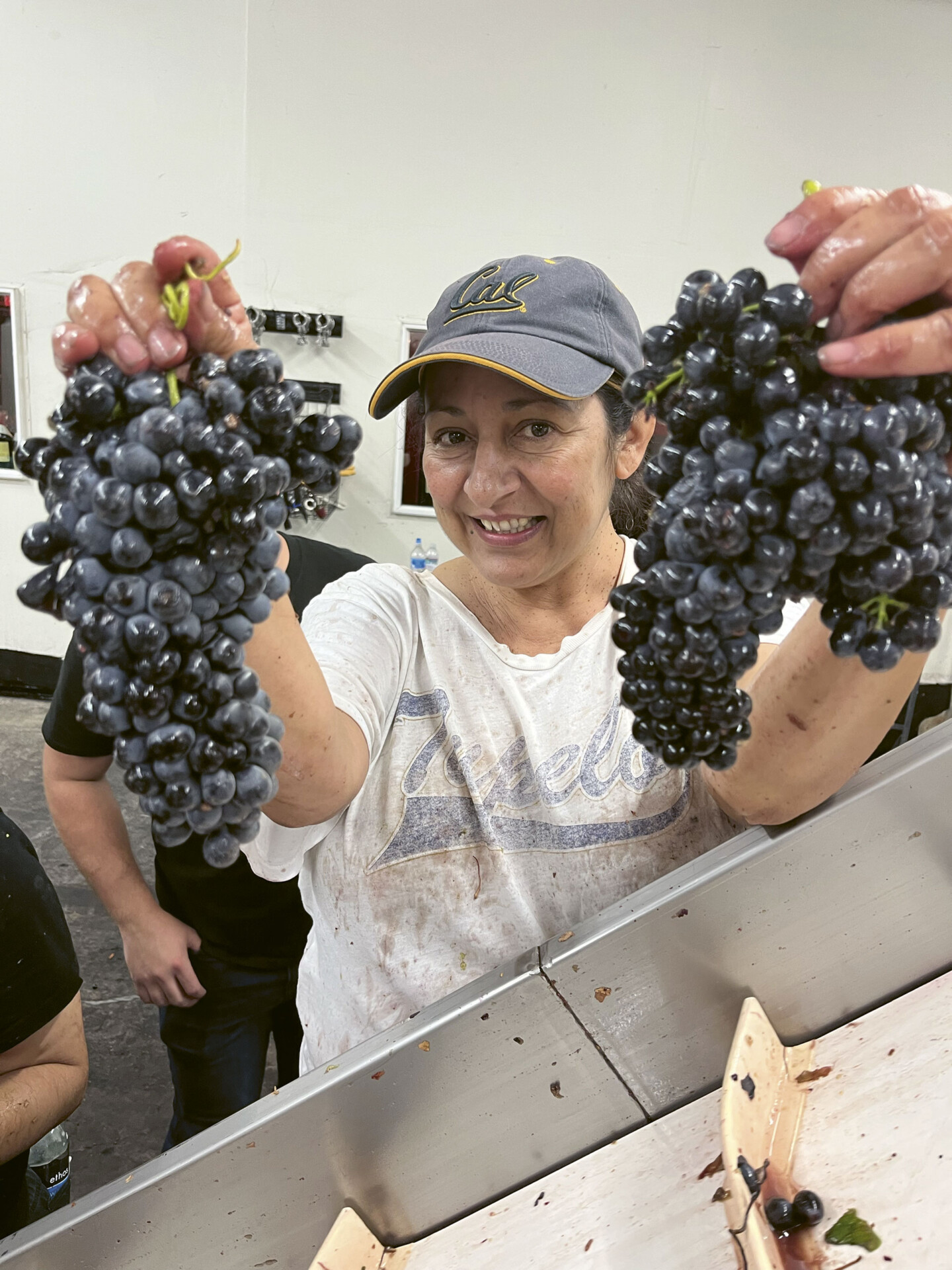 Photograph of winemaker Rosa Fierro holding up harvested grapes ready for crush at her winery in Livermore Valley, California