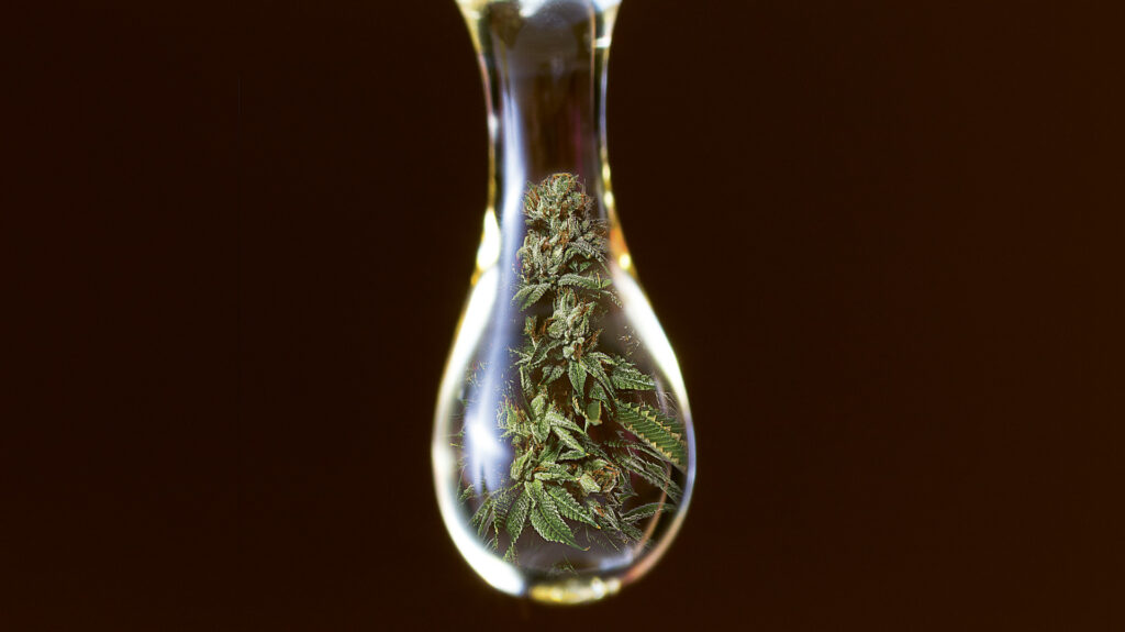 A drop of liquid with cannabis buds and greens depicted within the drop.