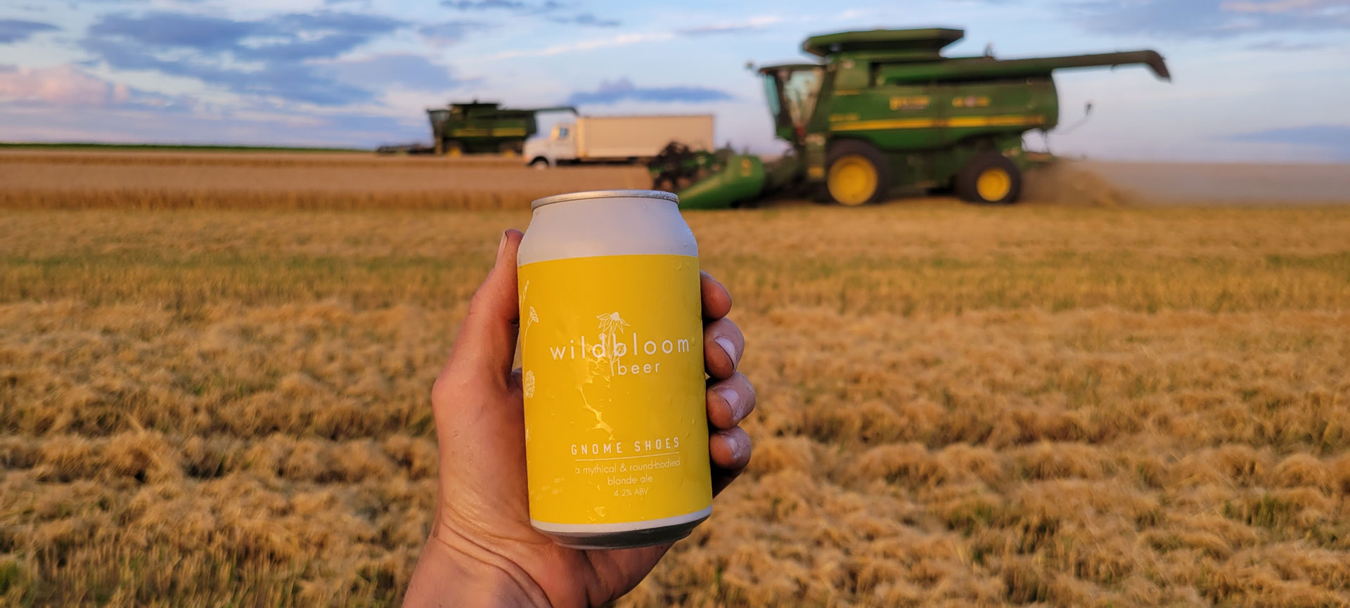 A hand holding a can of Wildbloom beer in the foreground with a field of wheat and a harvester running in the background.