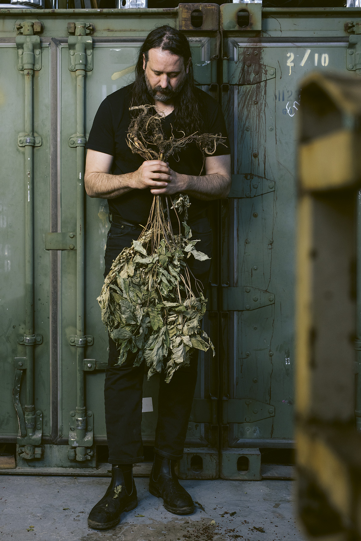Chris Bower of Eda Rhyne Distillery holding a bunch of dried foraged herbs to be used in distillation.