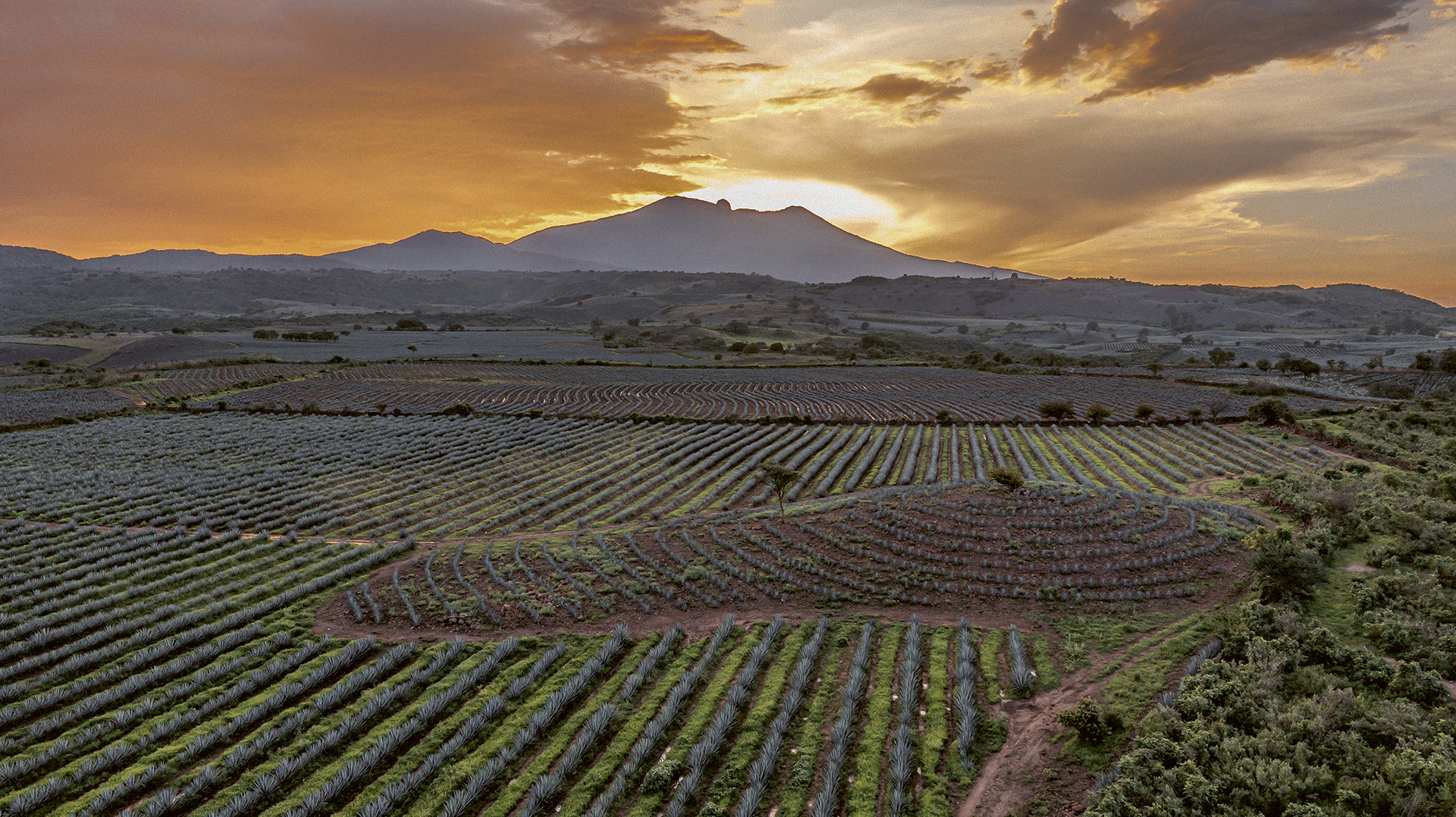 A panoramic picture of Rancho Mesa del Charco in the Lowlands region of Jalisco, Mexico