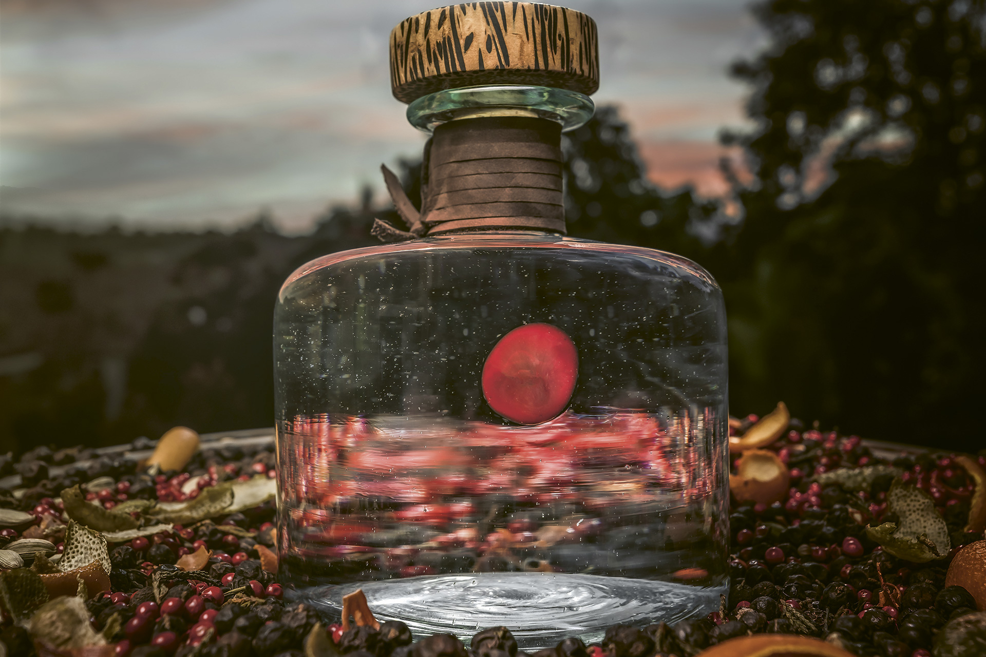 Procera Gin's Red Dot Bottle depicted in nature with raw ingredients around it and a beautiful horizon in the background.