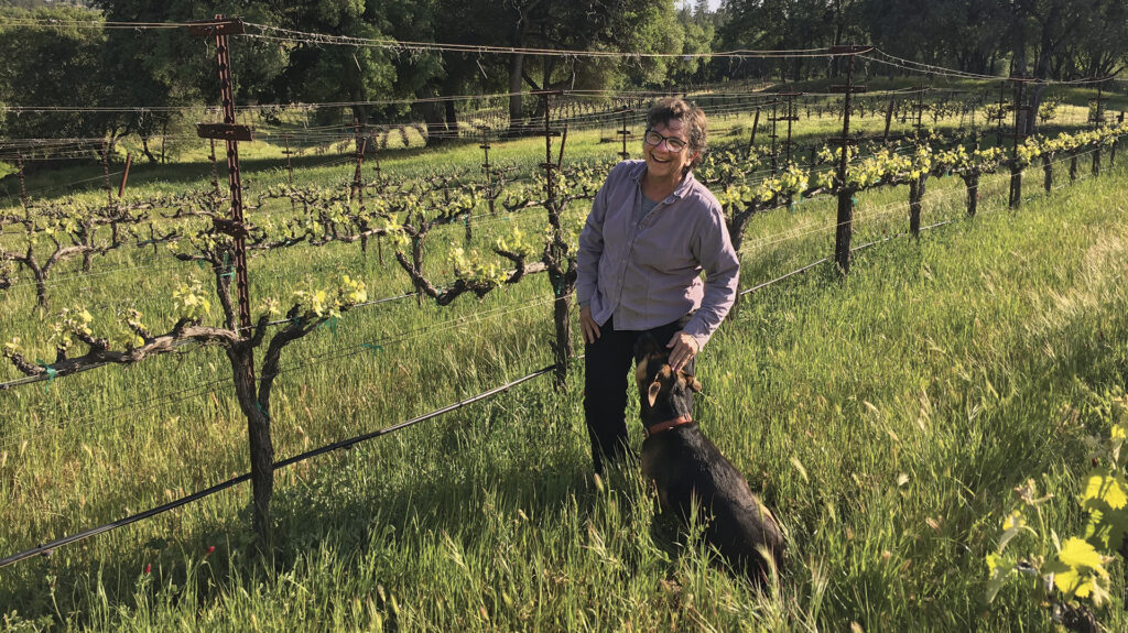 Kraemer_Hero Winemaker and viticulturist Ann Kraemer stands in the vineyard with her dog.
