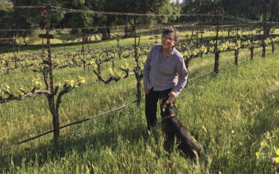 Pour One with Ann Kraemer