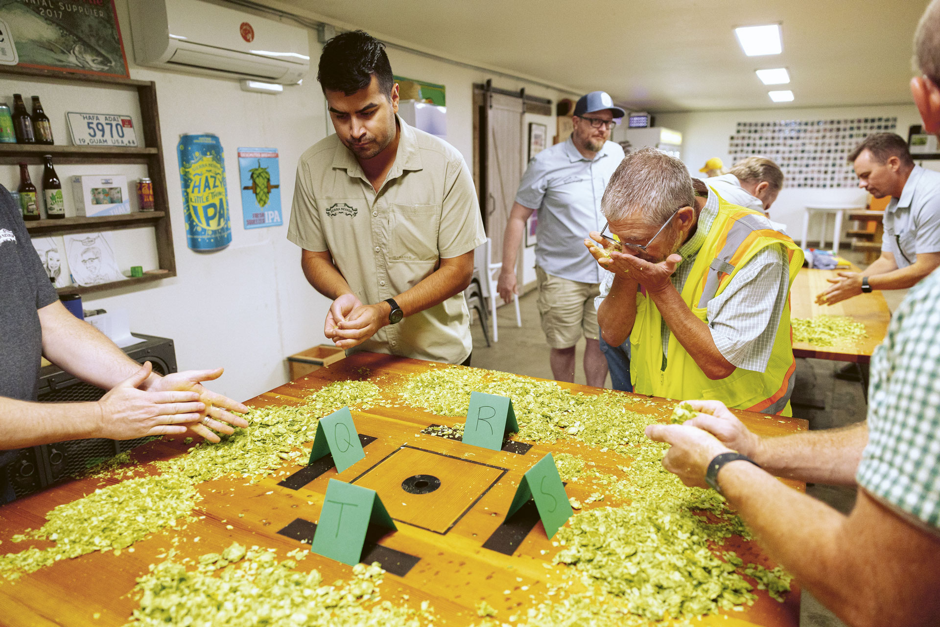 Samples of fresh hops on a table with multiple people gathered around touching and smelling them