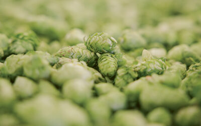 Inside Hop Selection